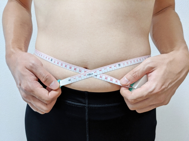 内臓脂肪を落とす方法とは？効果的な運動と食事の習慣化でお腹の脂肪を本気で減らす！