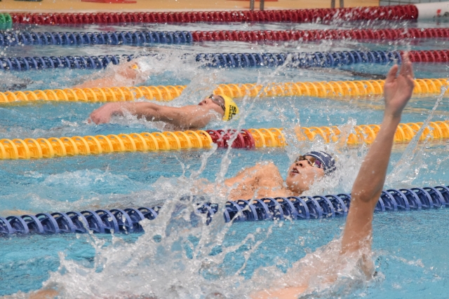 水中＆陸上トレーニングで理想の体と泳ぎを手に入れよう