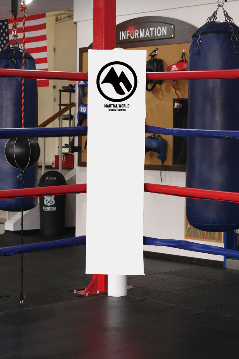 ボクシングリング一式 トレーニングマシンのレンタルとリースはジムクラウド Gym Cloud