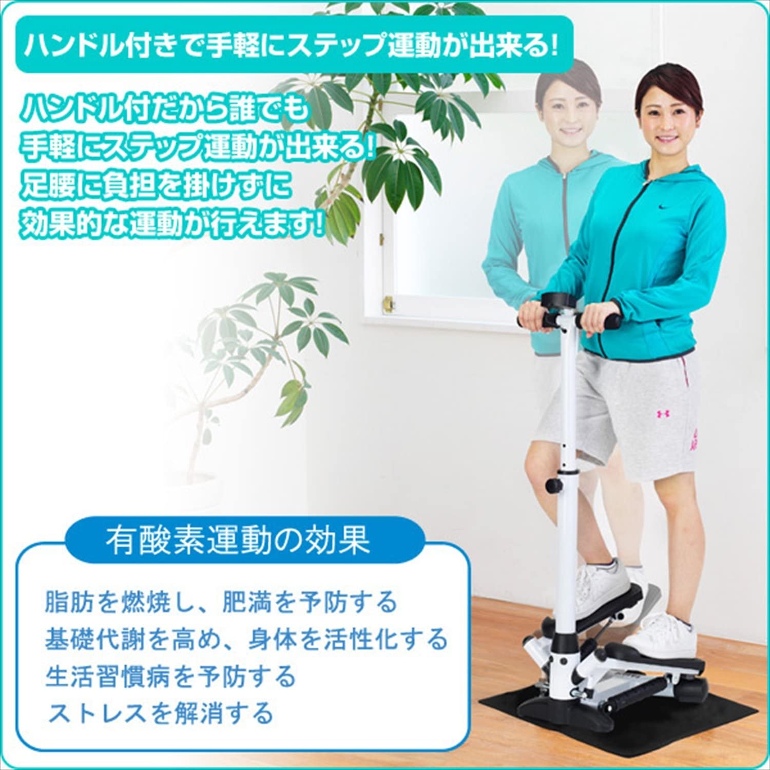 ハンドル付ステッパー 画像2