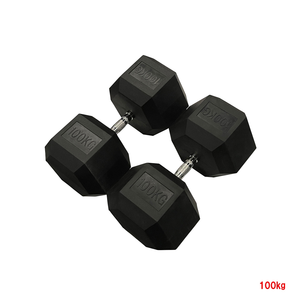 ヘックスラバーダンベル 固定式 100kg 各2個1組｜ONIを月額2,940円〜で