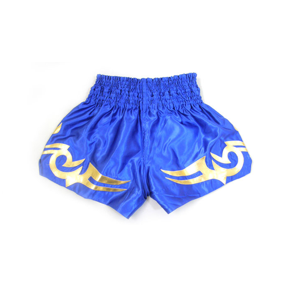 COBRA　Muay Thai Shorts cl-s5 BLUE/GOLD L 画像2