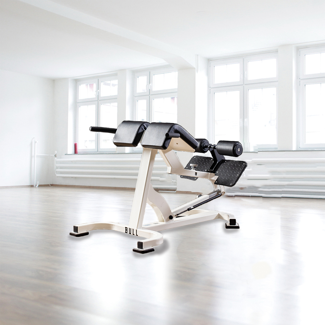 バックエクステンションベンチ｜BULLを月額10,090円〜でサブスク｜GYM