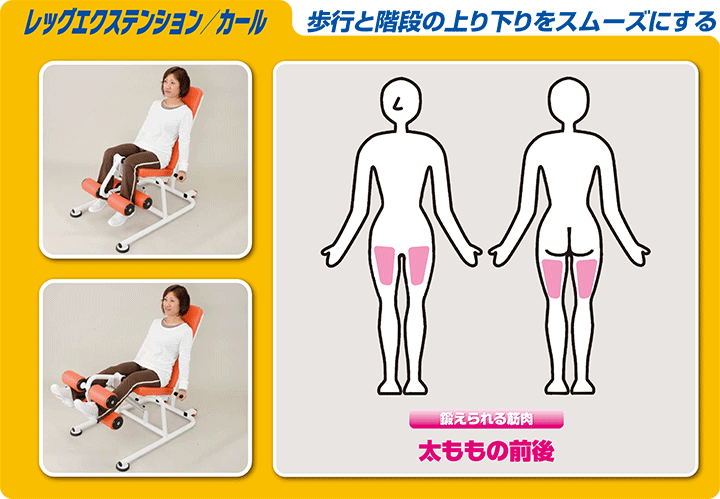 レッグエクステンション/カール 画像2