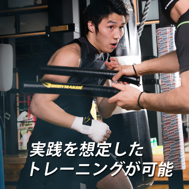 アウトスティック 画像3