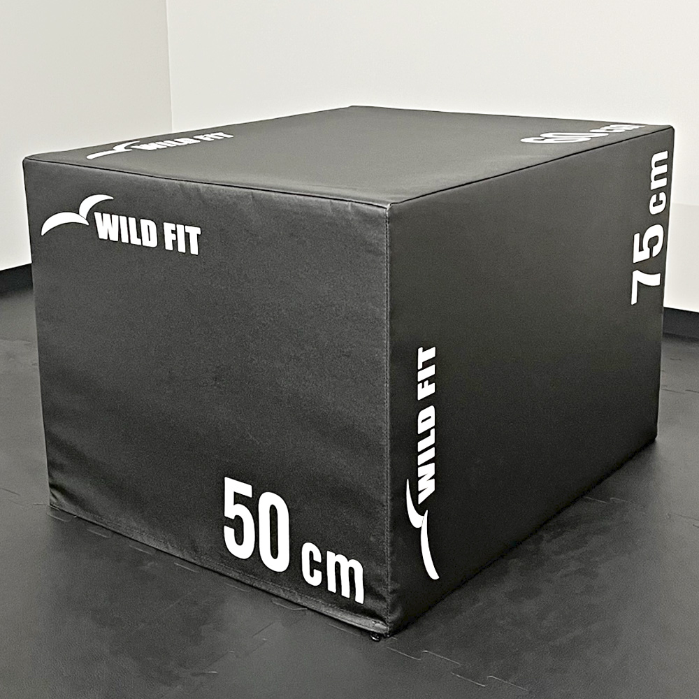 ソフトプライオボックス (ジャンプボックス) ラージサイズ｜WILD FITを