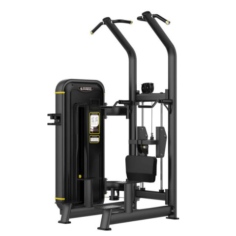 アシストチン/ディップ｜ECOLECO FITNESSを月額22,000円〜でサブスク
