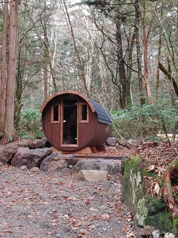 SAUNA 330 Overhang :Normal（高温処理なし） 画像2