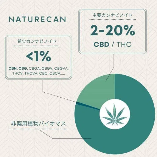 CBGオイル 10ml 40% 画像2