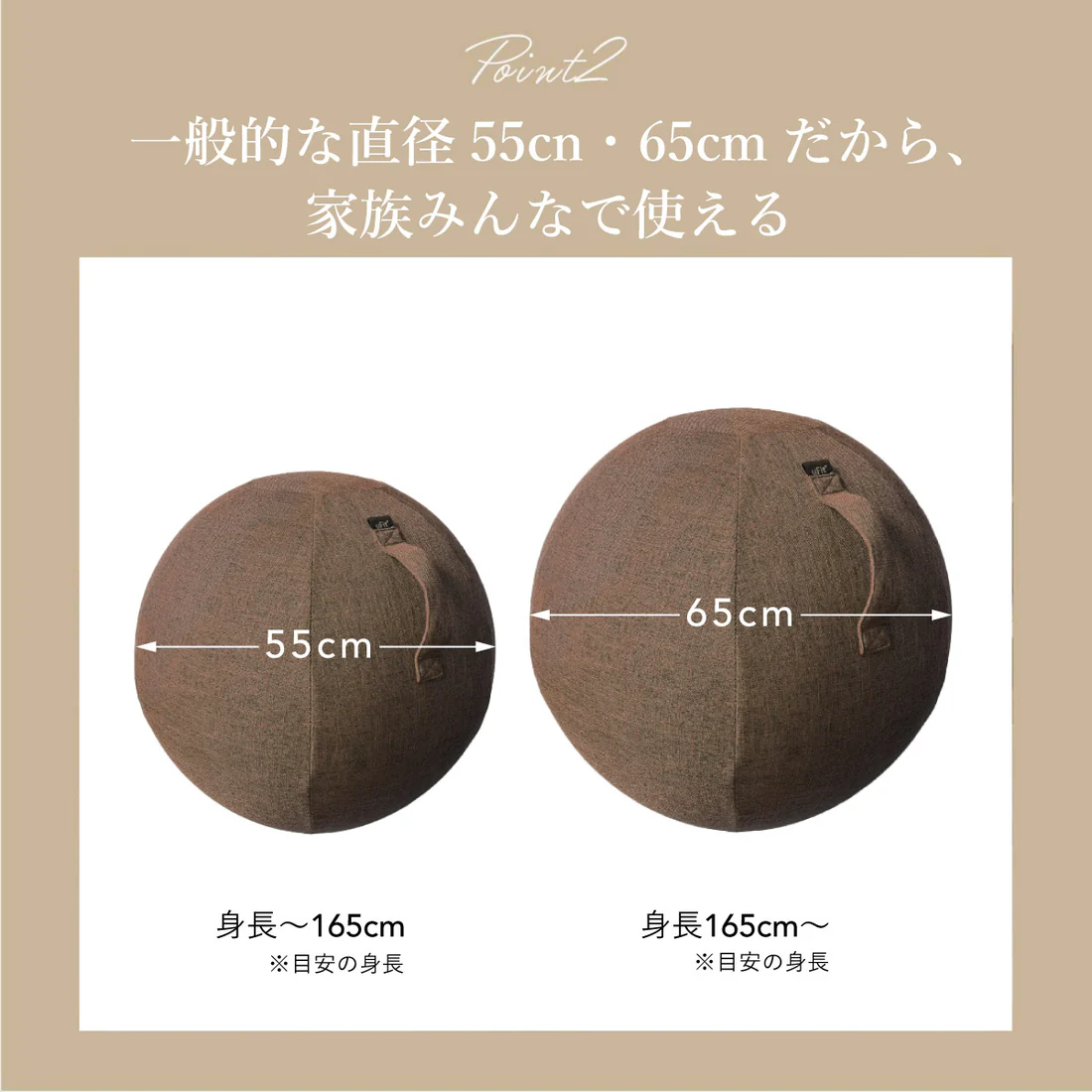 Balance Ball 65cm（グレー/ブルー/ブラウン） 画像2