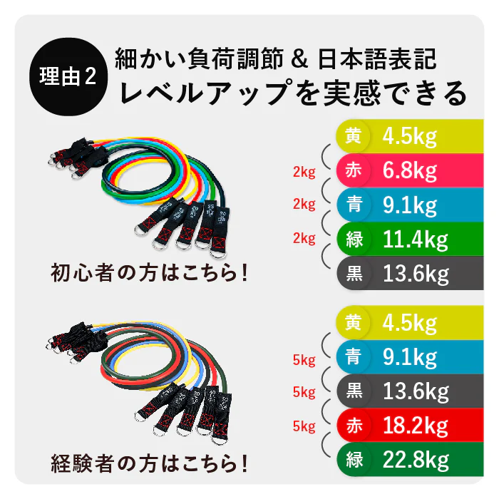 Training Tube（Max：45.5kg） 画像3
