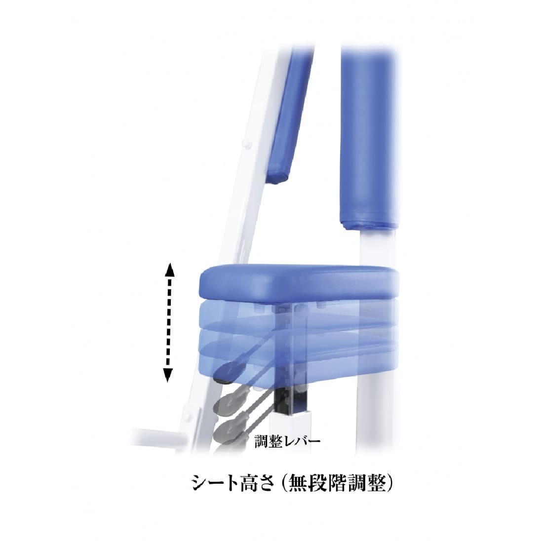 チェストスプレッド（CS） 画像2