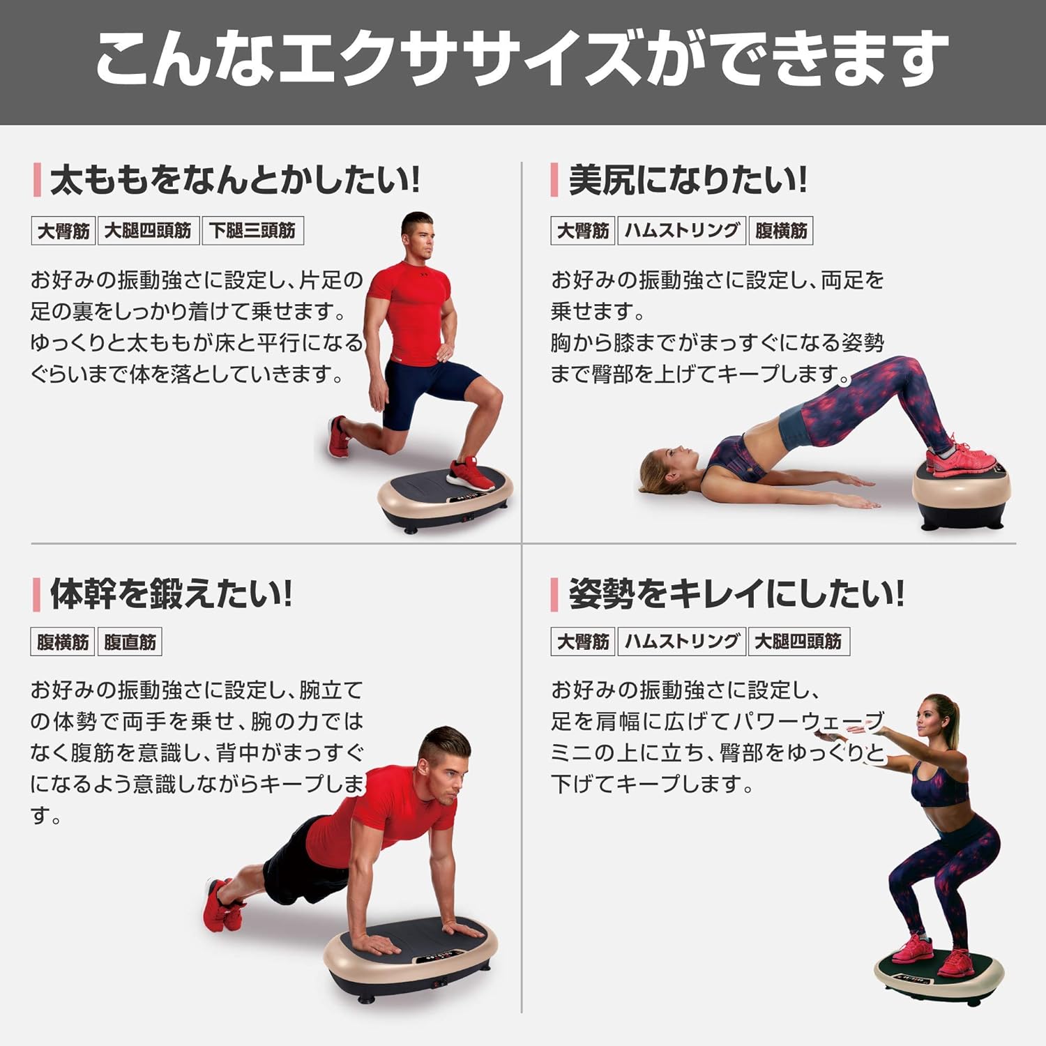 振動マシン パワーウェーブミニ 画像5