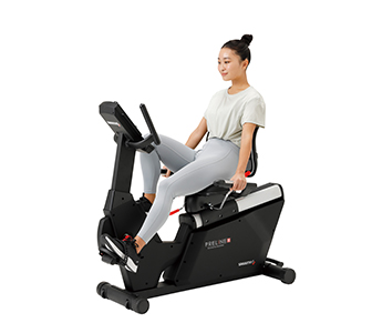プレラインR PL-300 画像2
